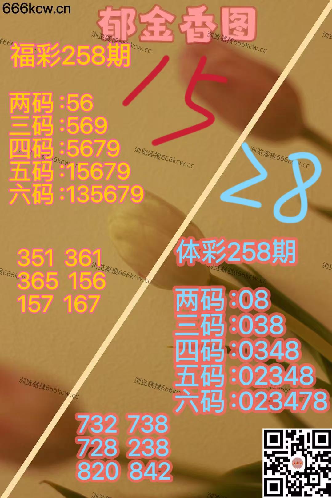 20250925 (23)