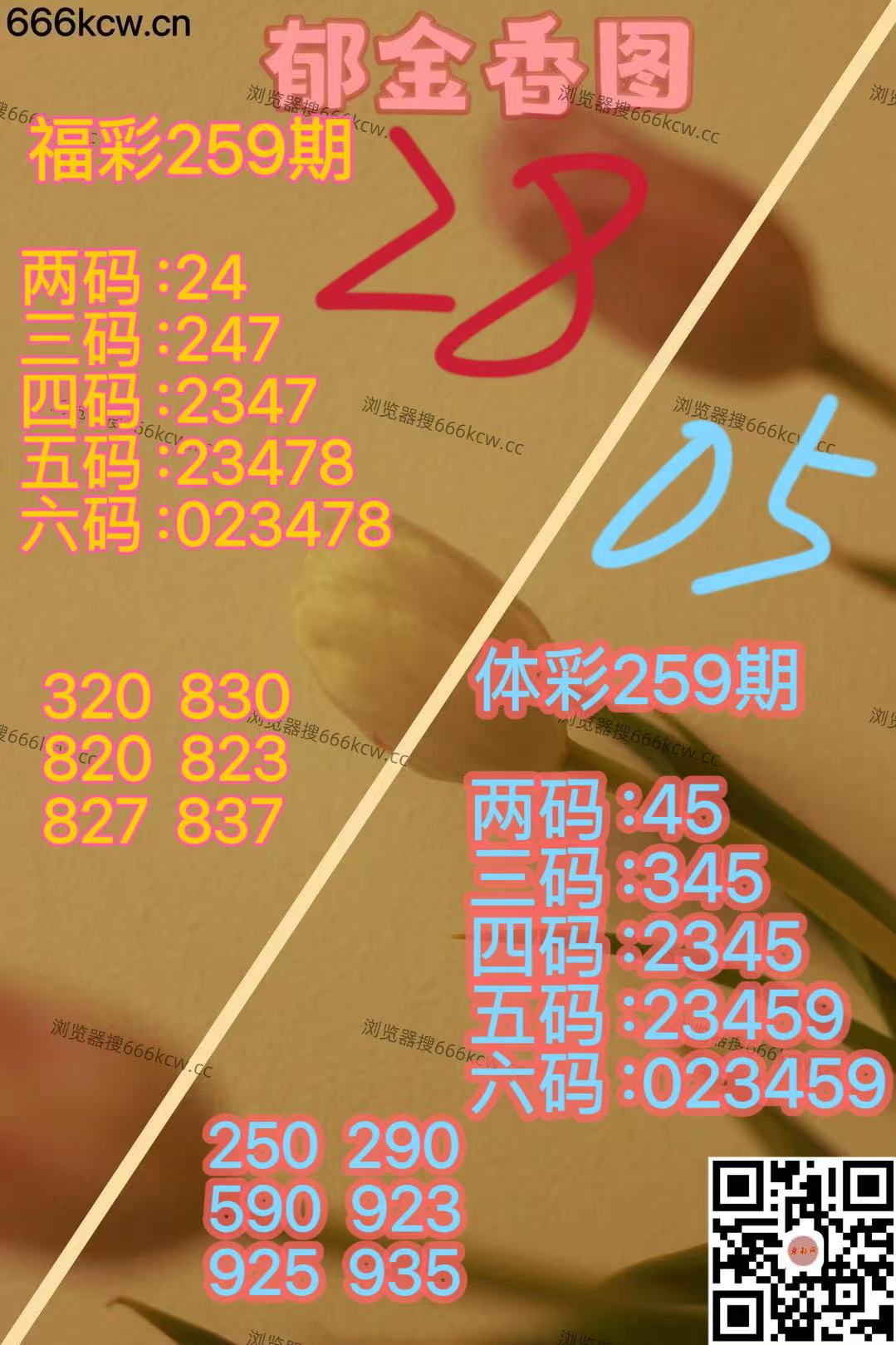 微信图片_20250926005027_2374_2
