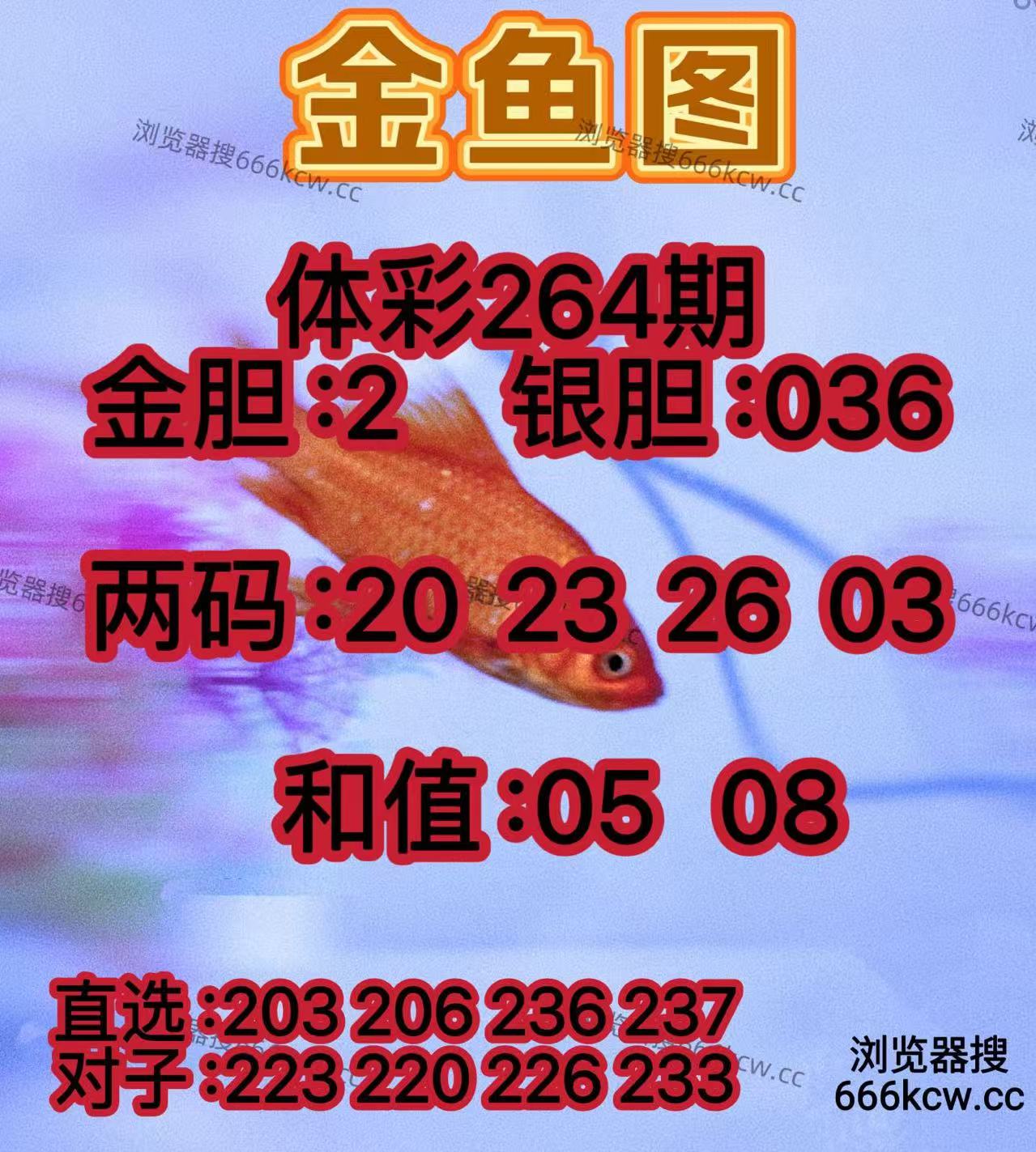 20251005 (17)