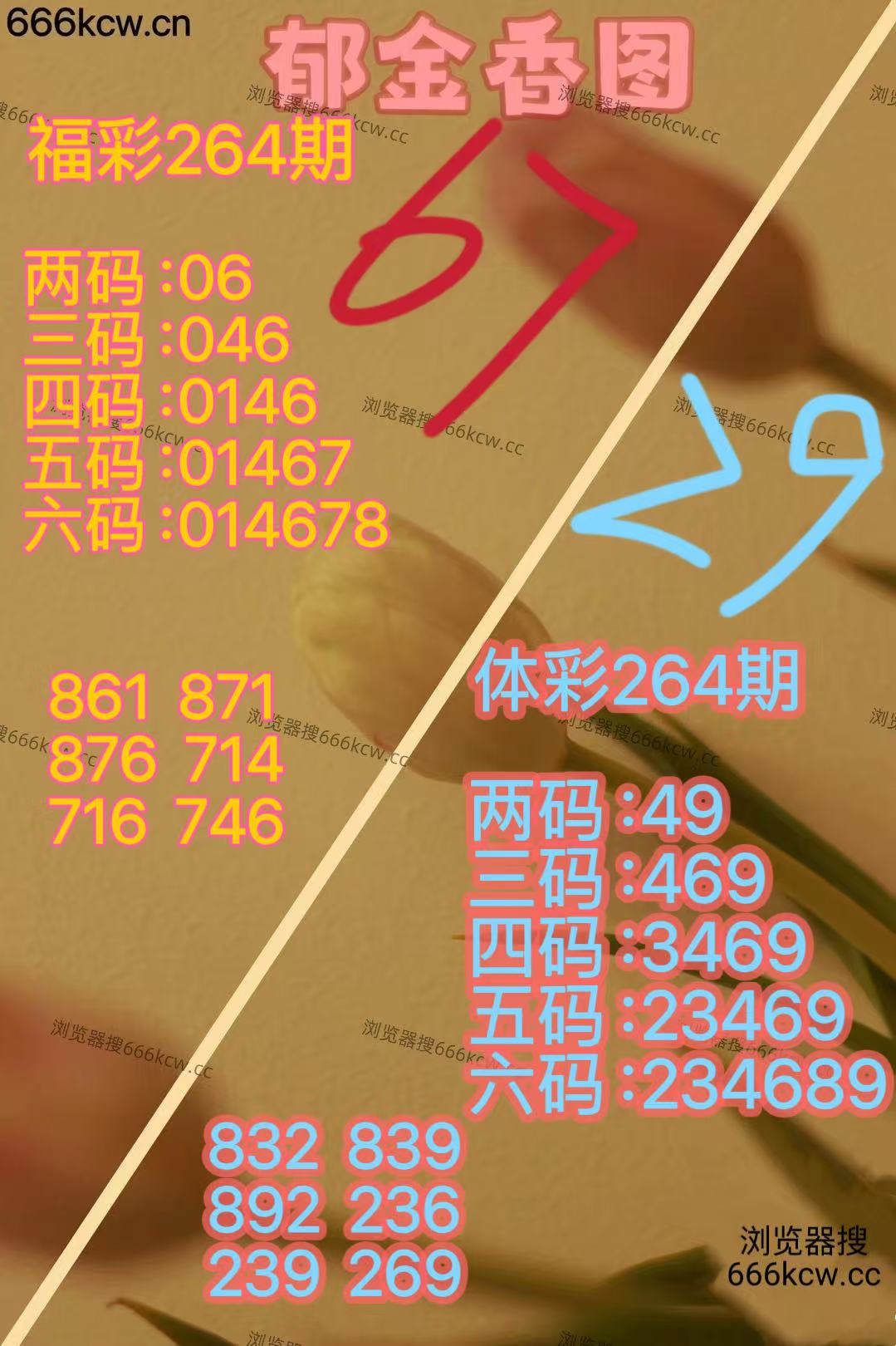 20251005 (22)