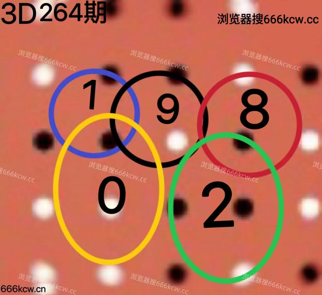 20251005 (5)