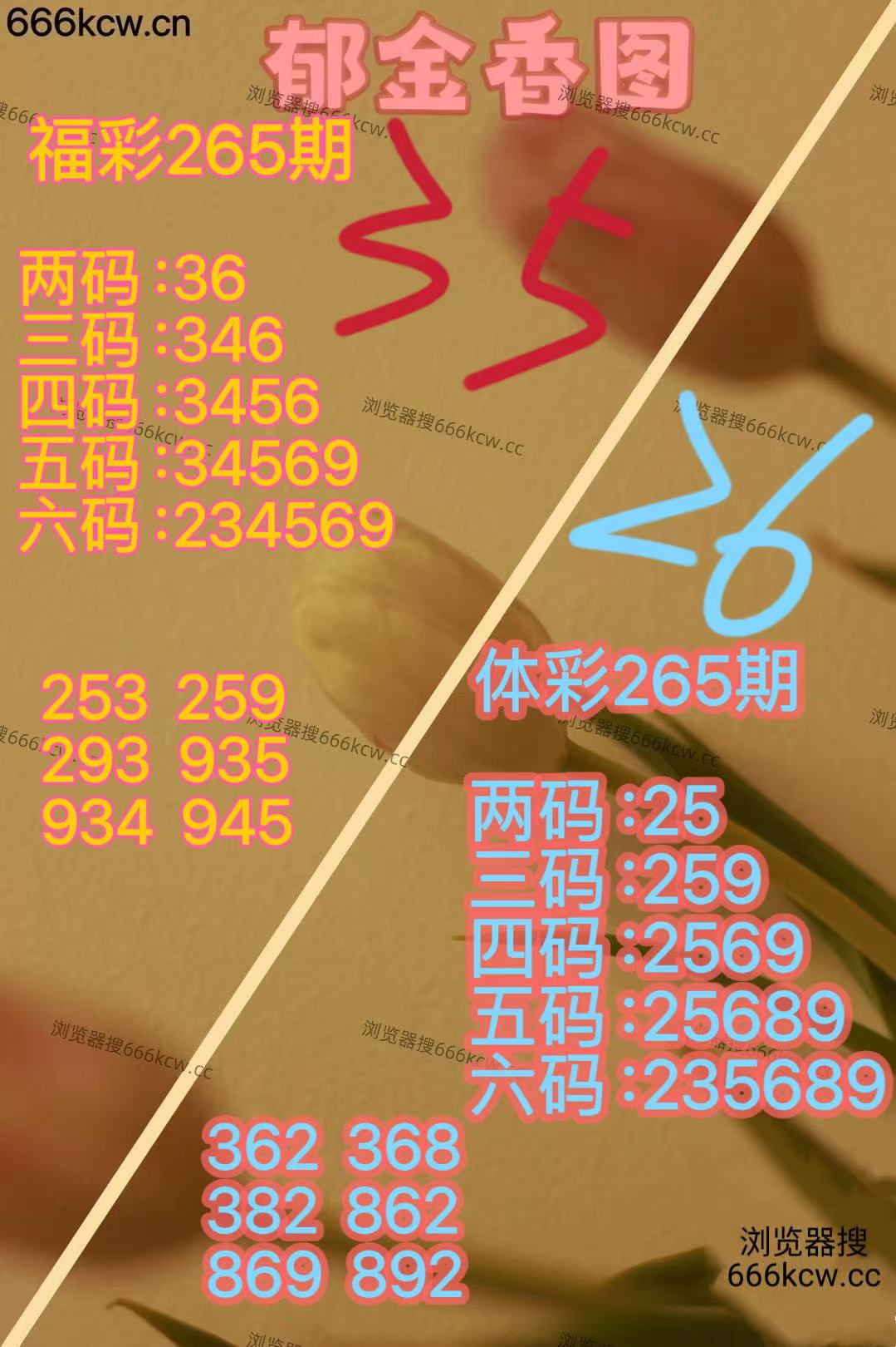 20251006 (23)