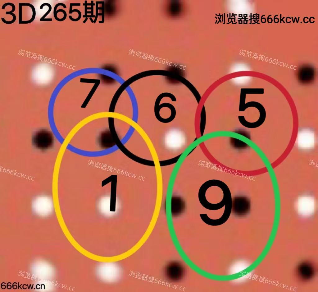 20251006 (4)