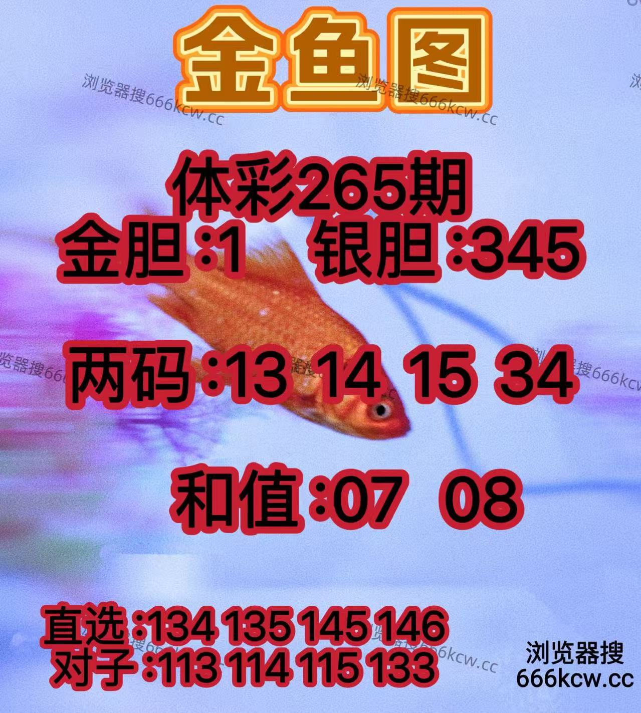 20251006 (18)