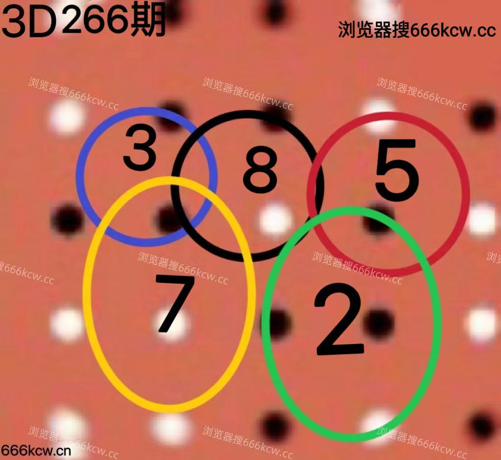 20251007 (5)