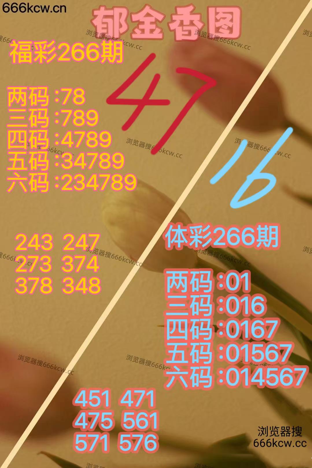 20251007 (39)