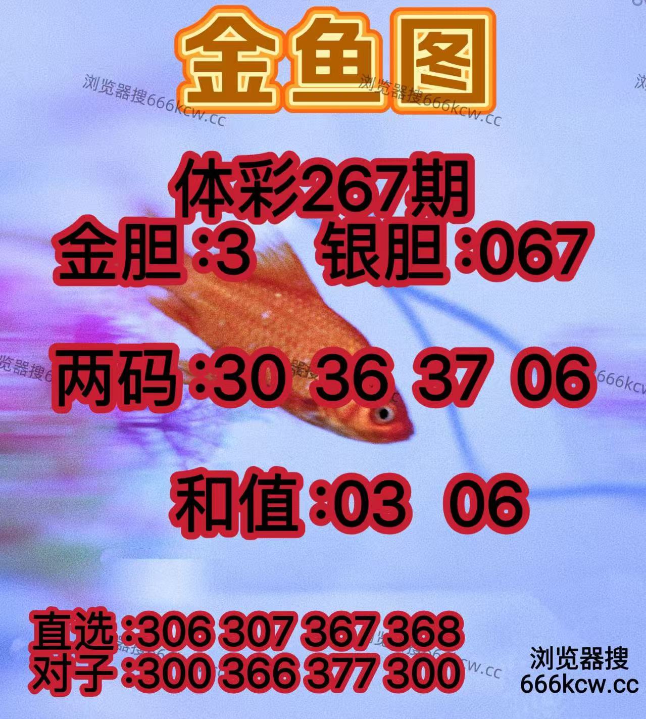 20251008 (17)