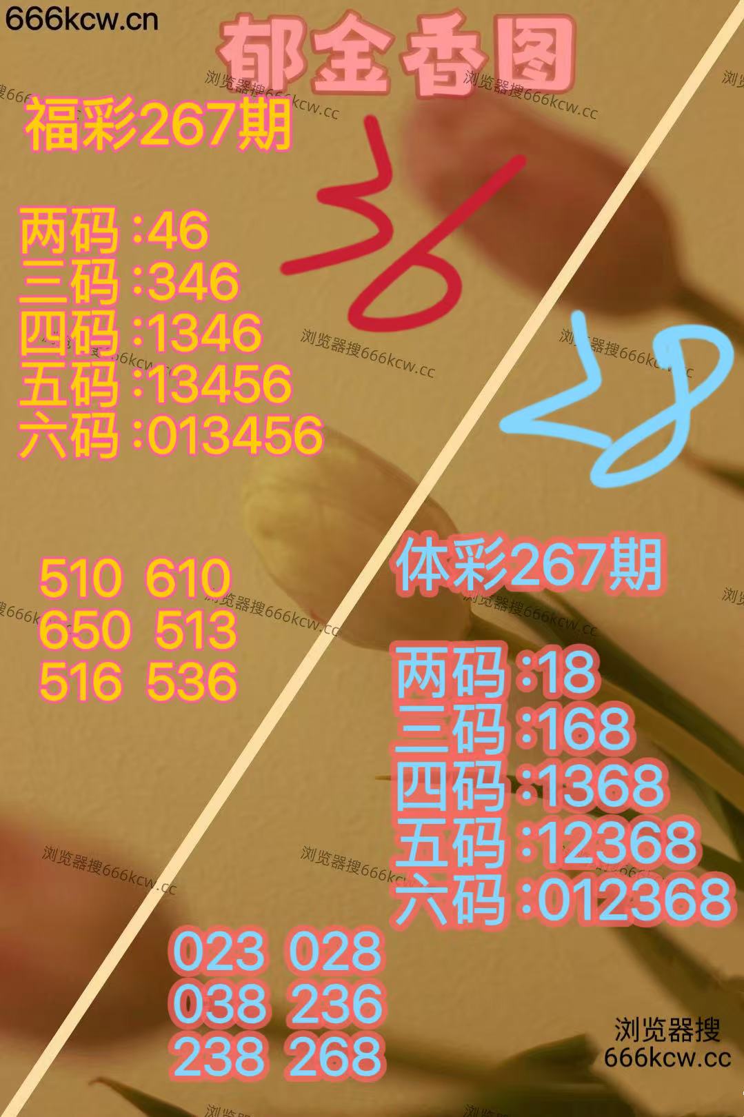 20251008 (22)