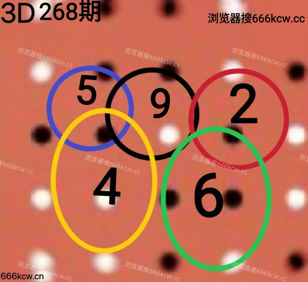 20251008 (8)