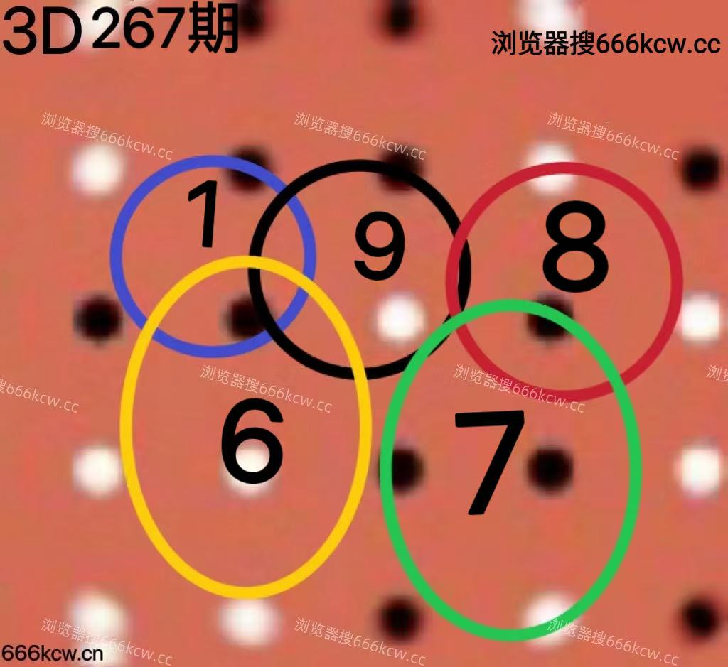 20251008 (4)