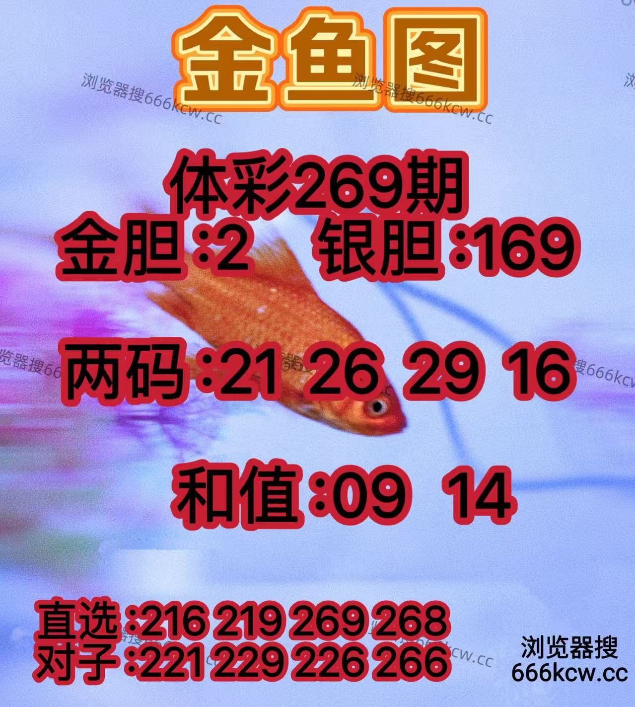 20251010 (17)
