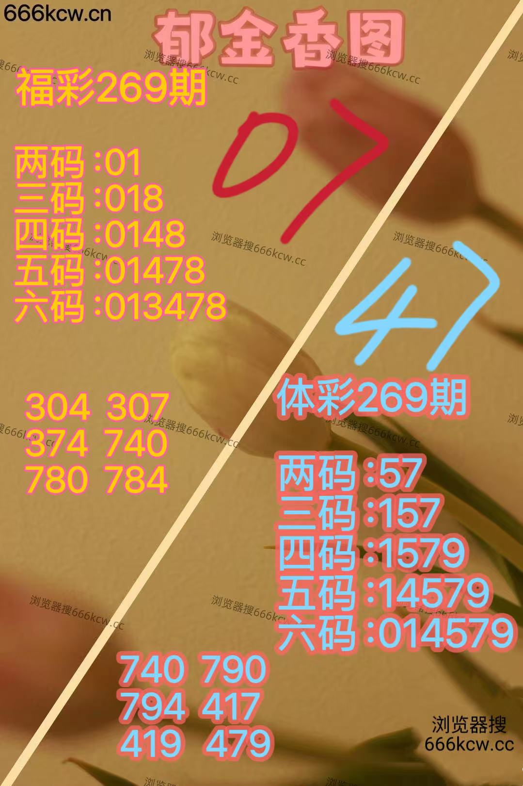 20251010 (21)