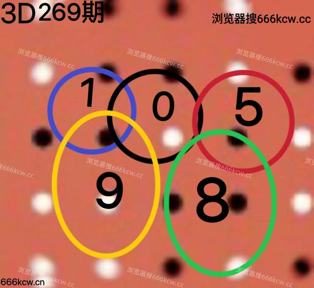 20251010 (5)