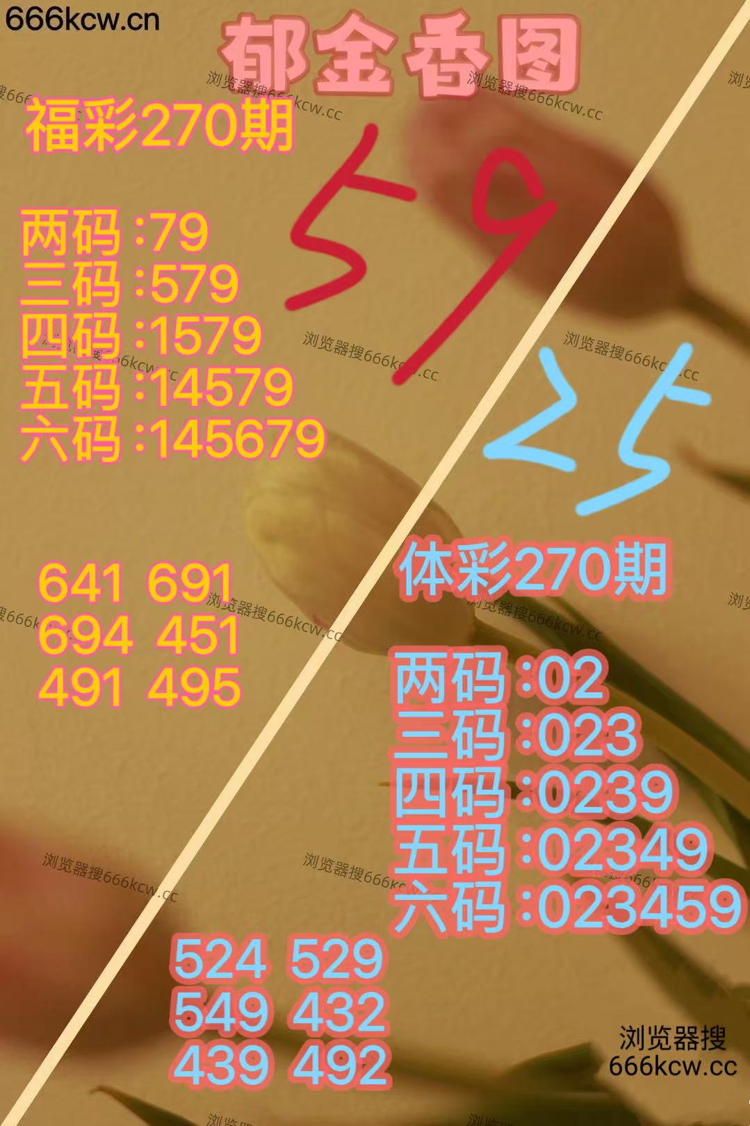 20251011 (22)