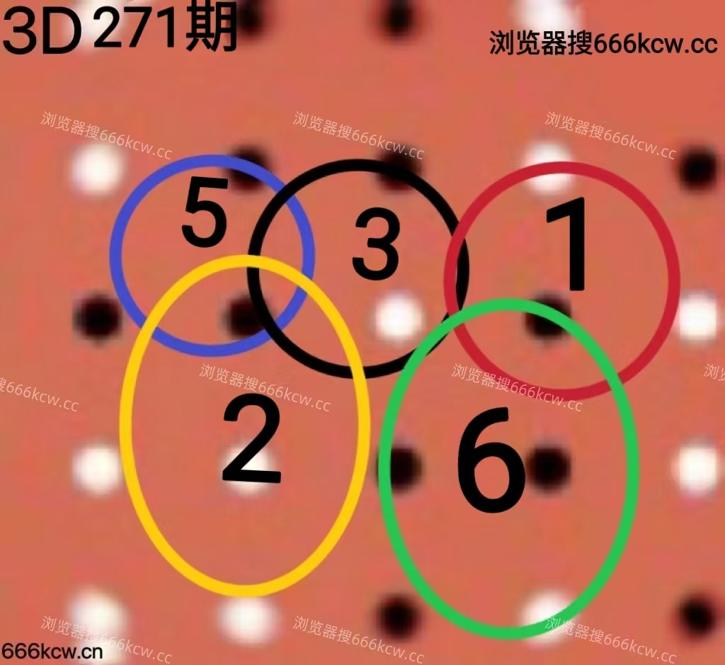 20251012 (18)
