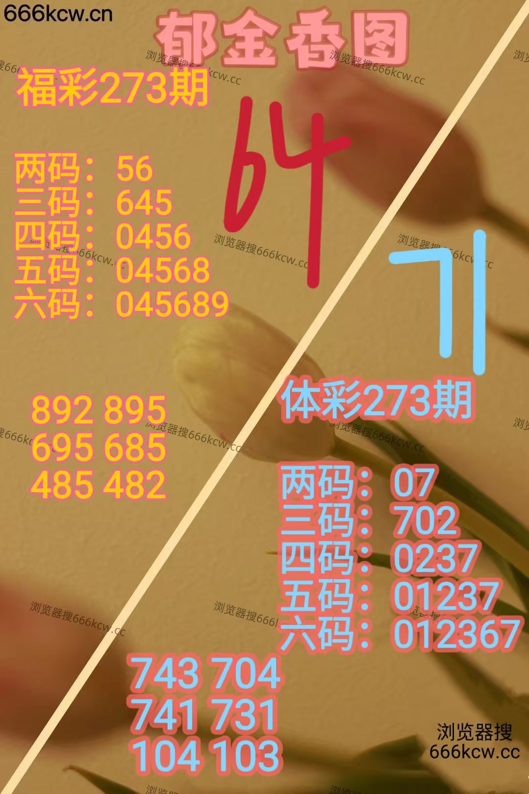20251014 (30)