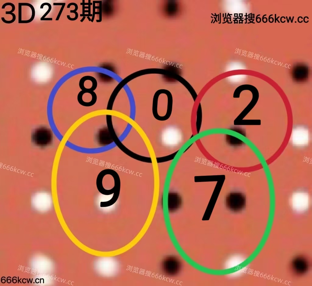 20251014 (39)