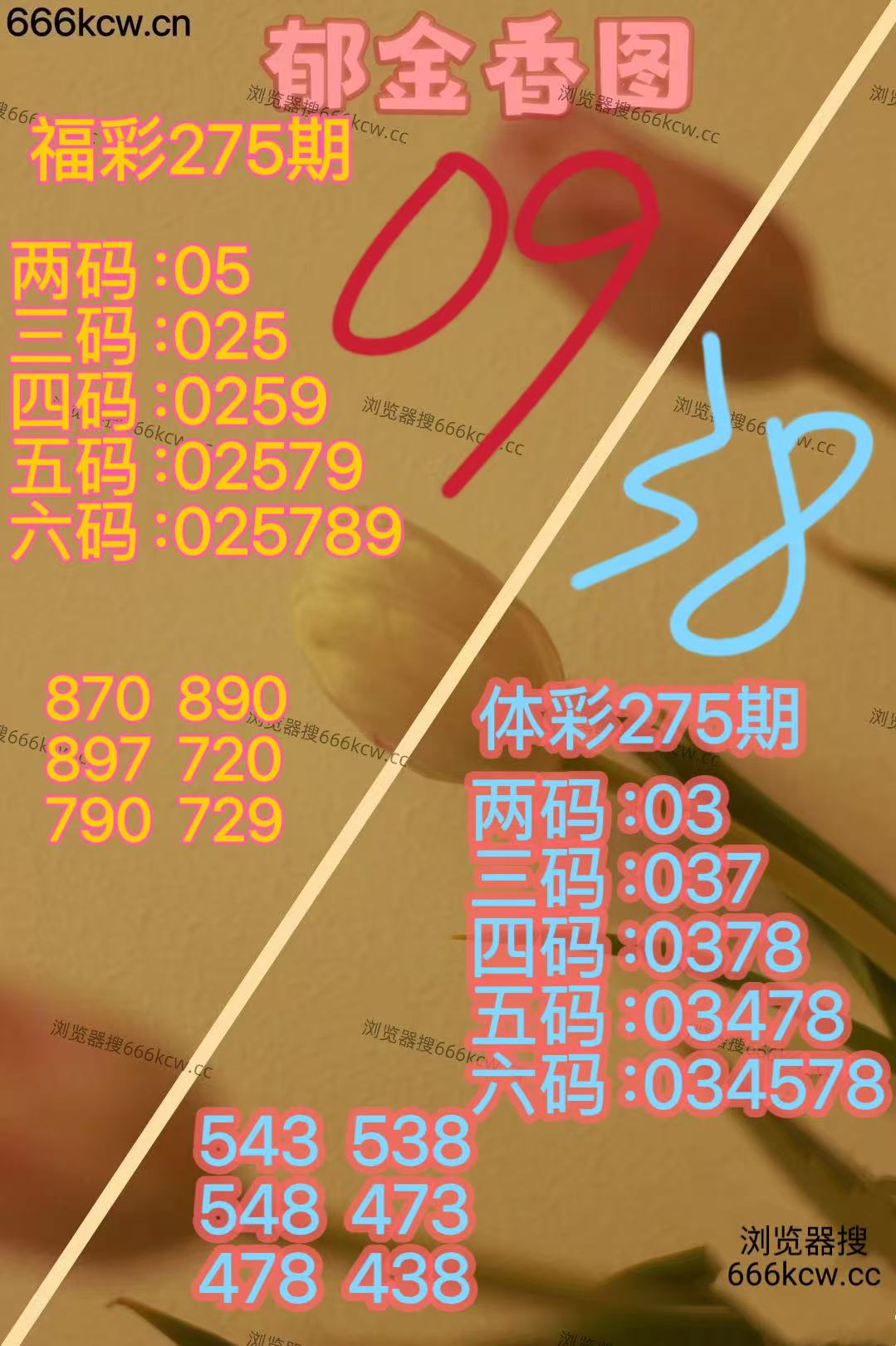 20251016 (39)