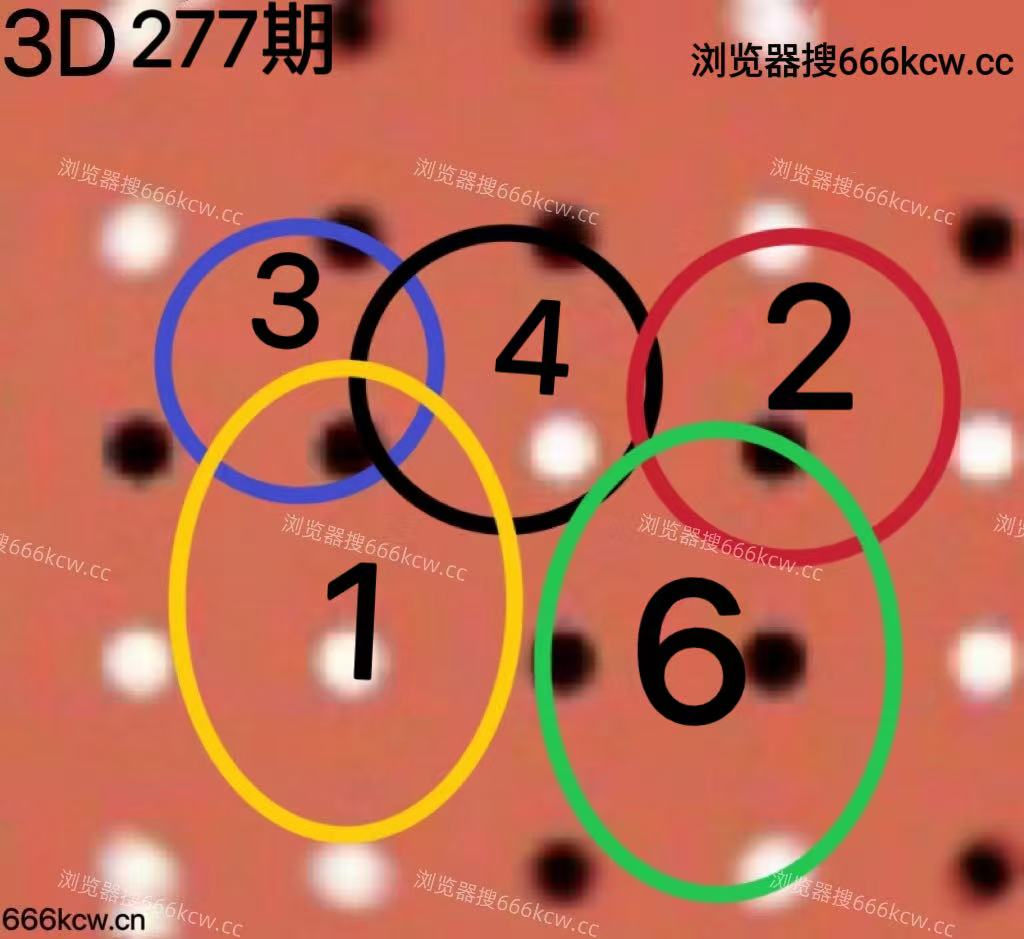 20251018 (5)