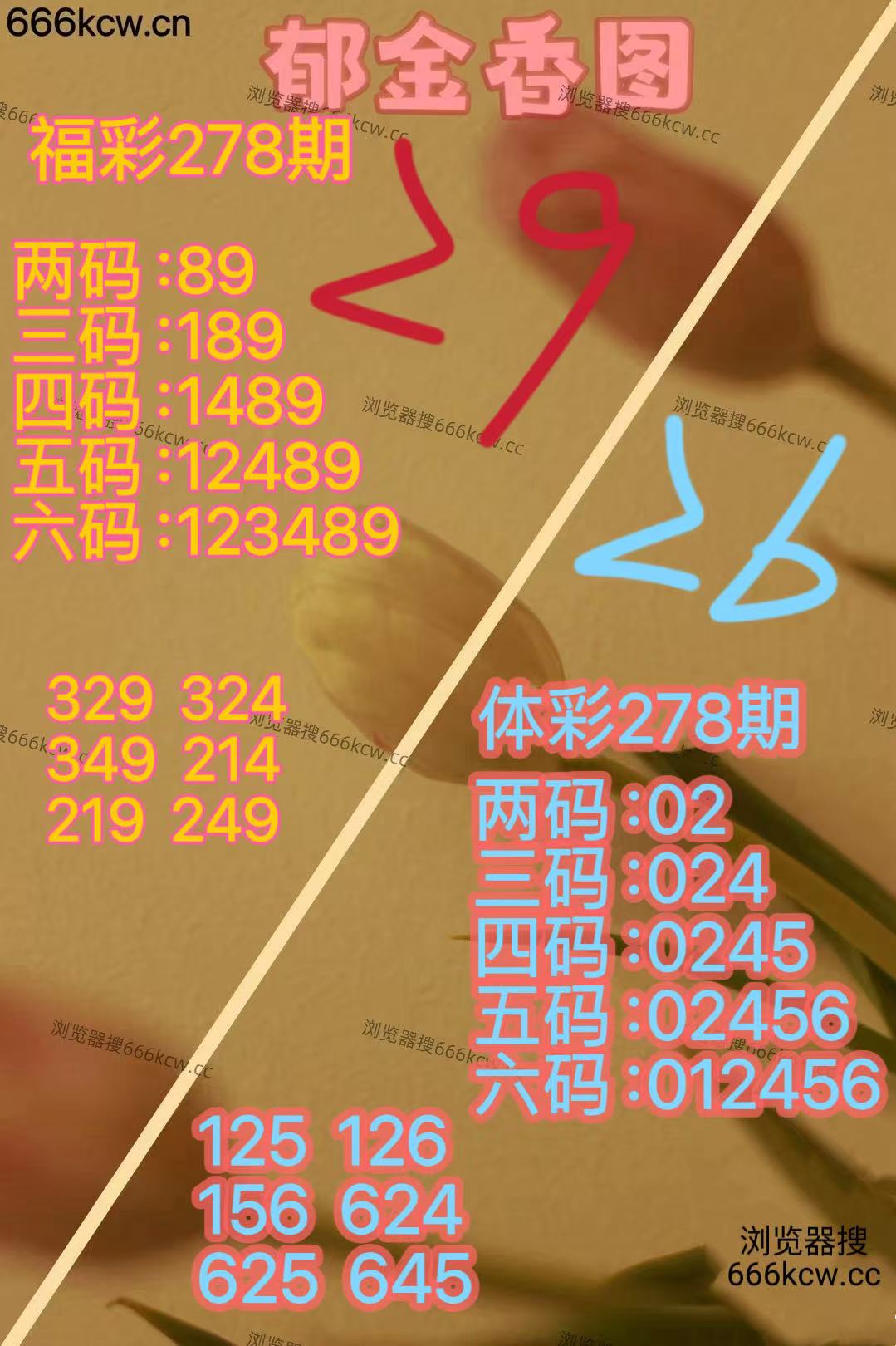 20251019 (22)