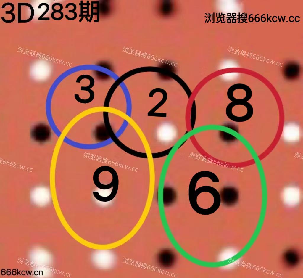 20251024 (39)