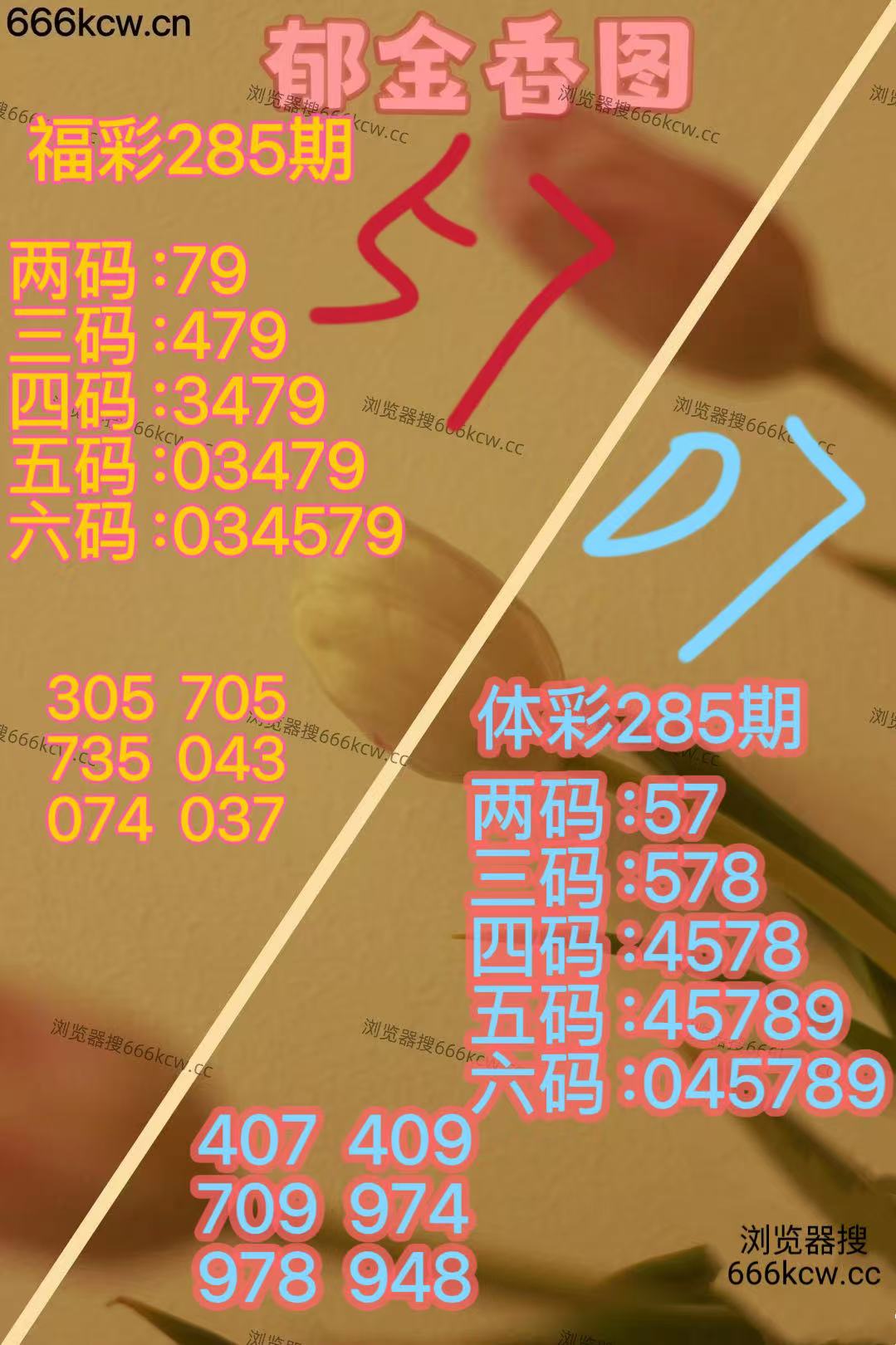 20251026 (2)