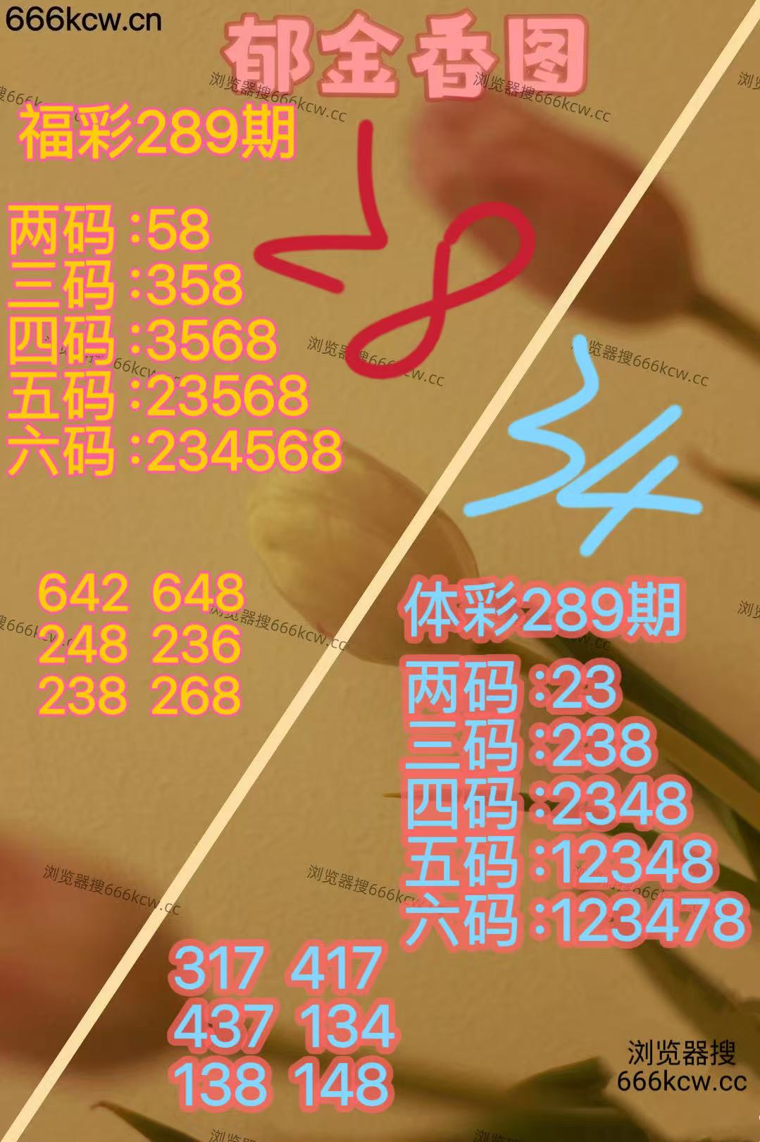 20251030 (21)
