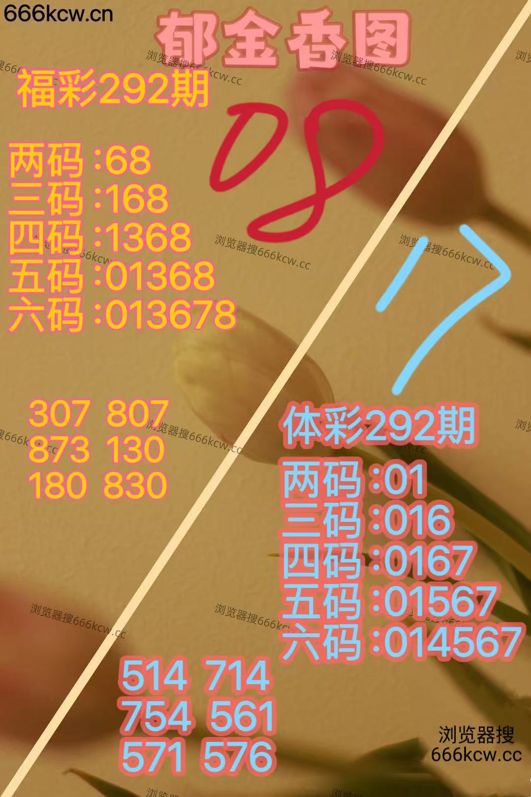 20251102 (2)
