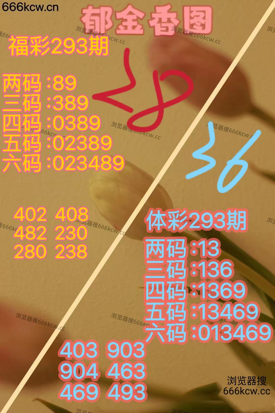 20251103 (23)