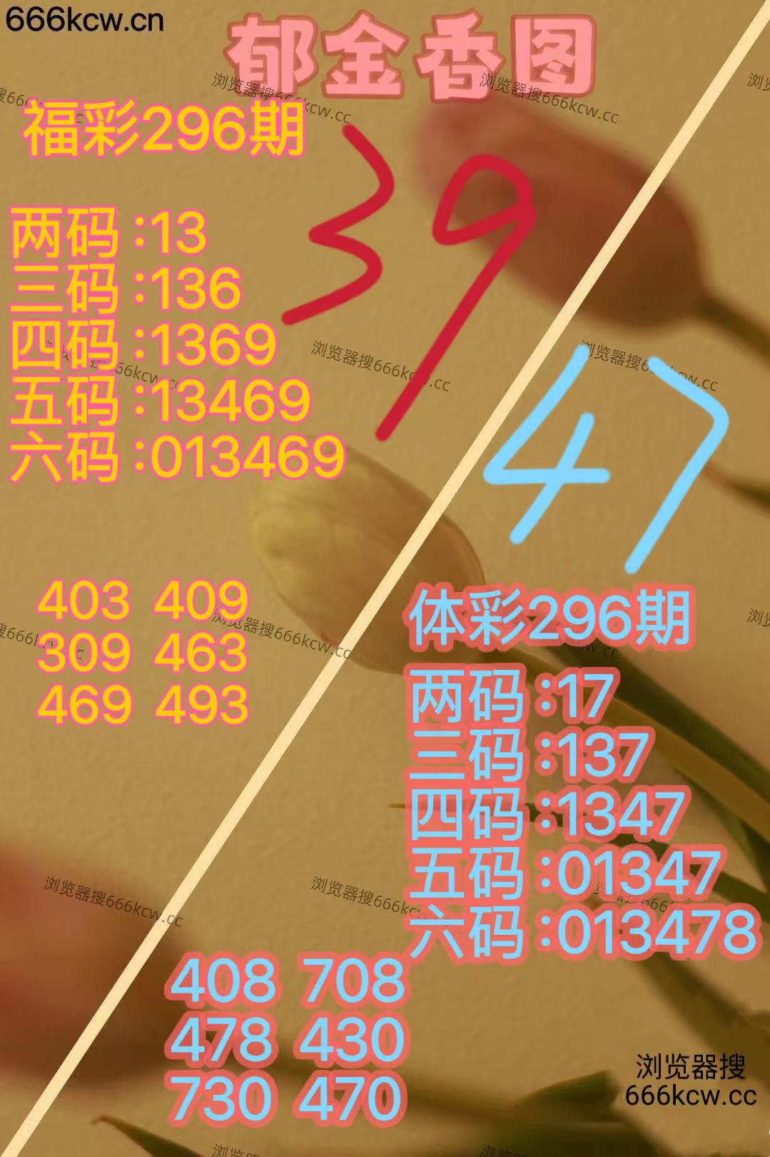 20251106 (23)