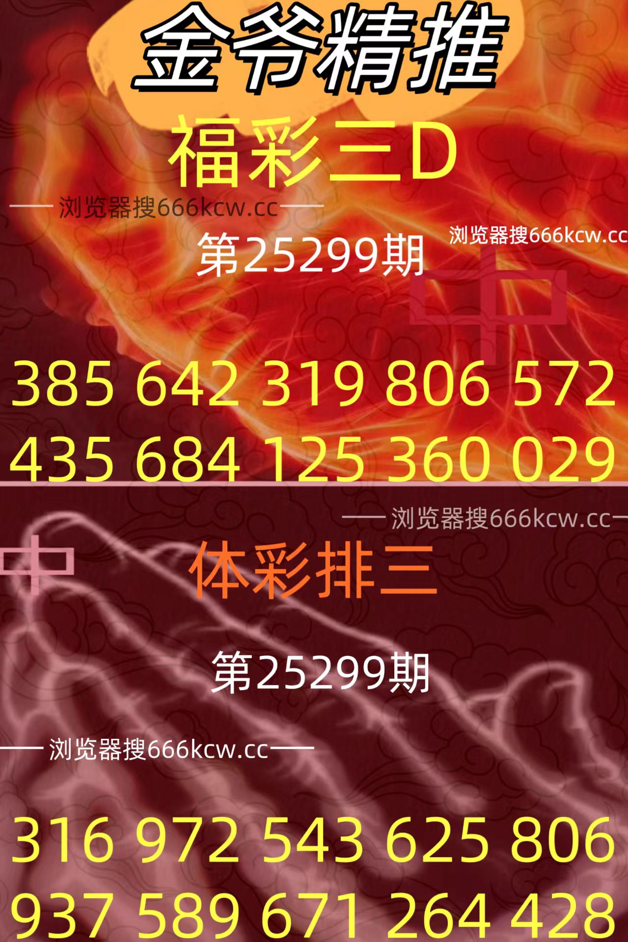 20251109 (35)