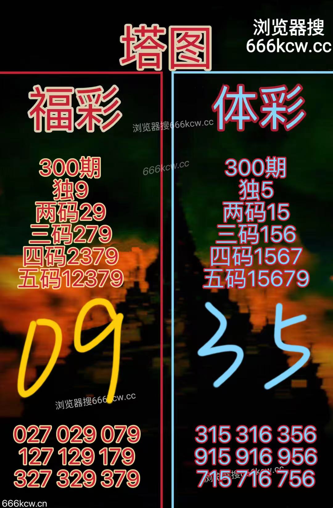 20251110 (24)