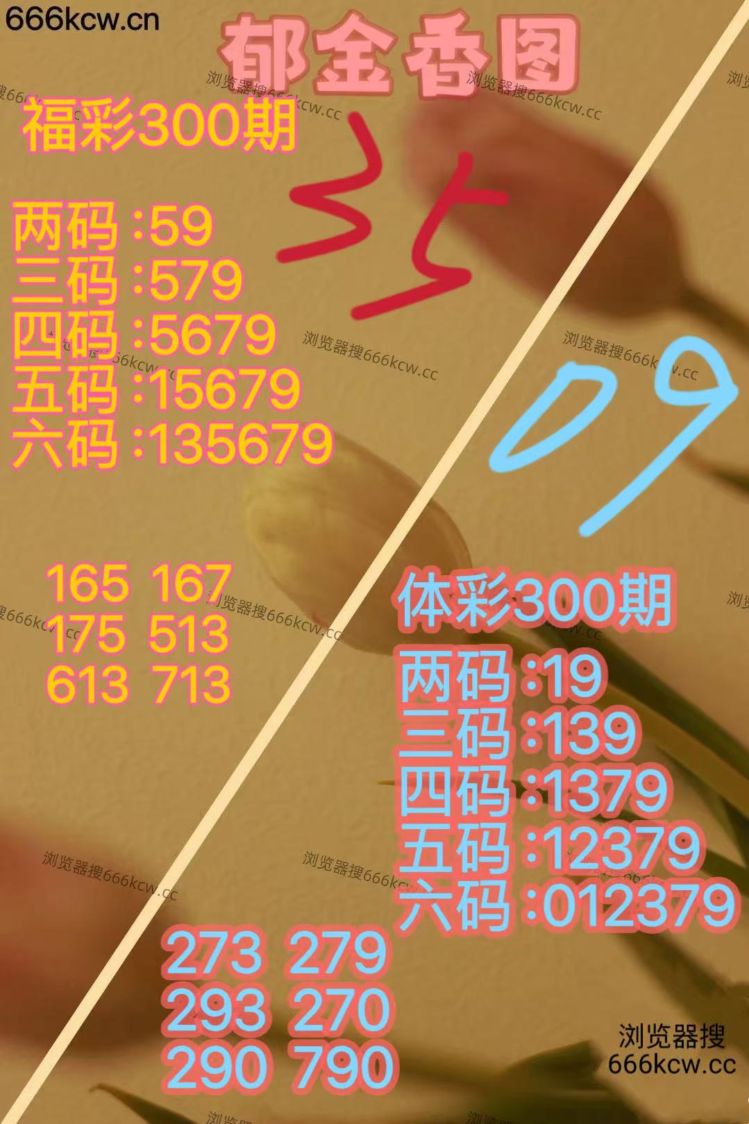 20251110 (23)
