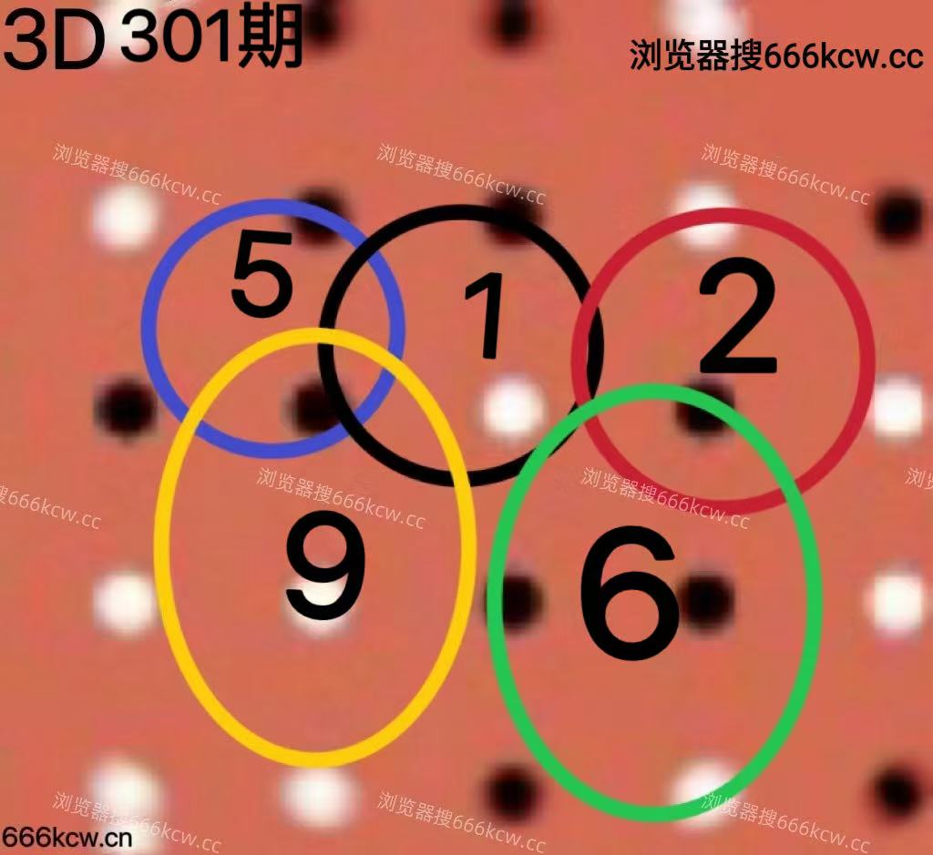 20251111 (5)