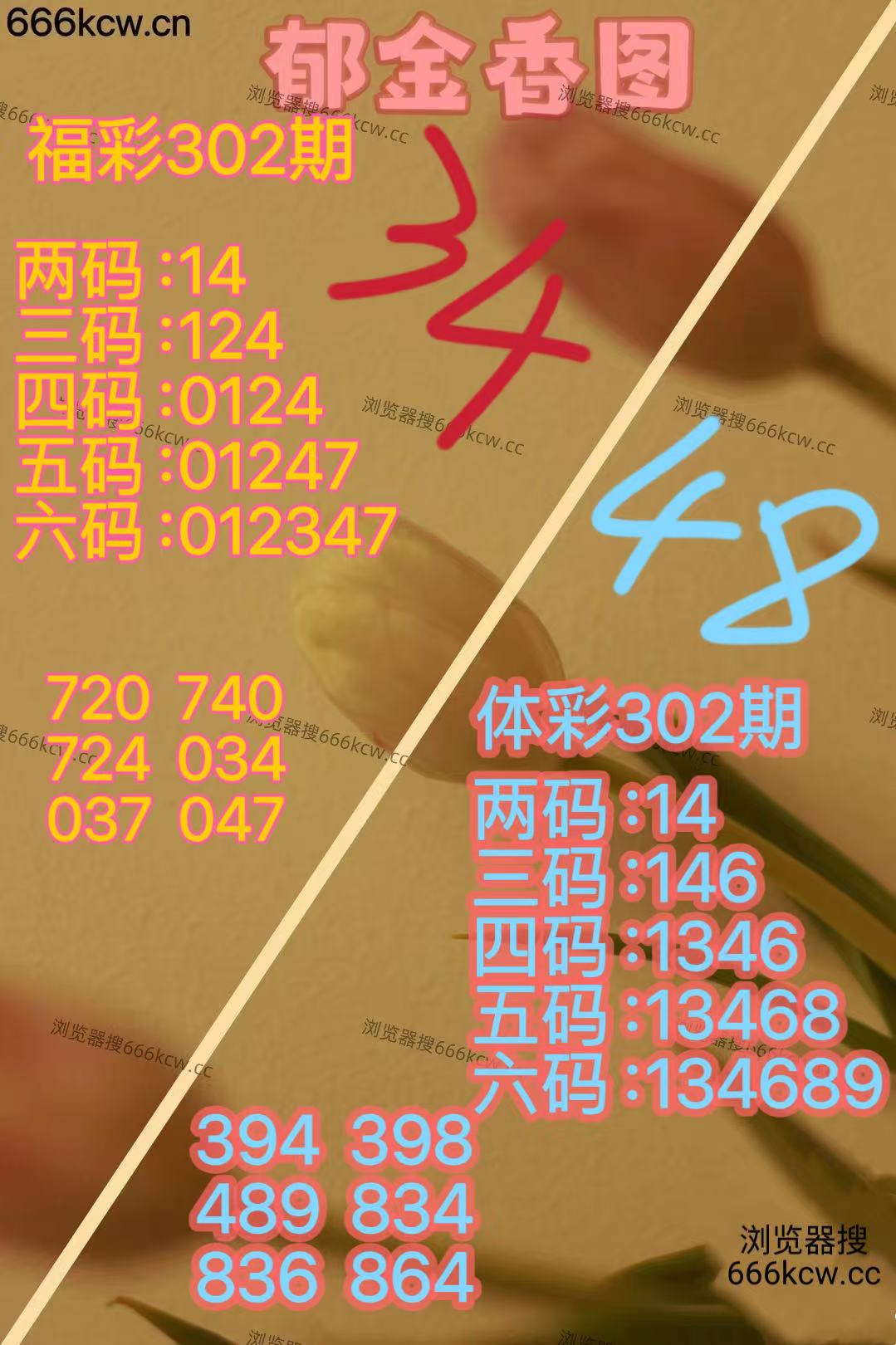 20251112 (12)