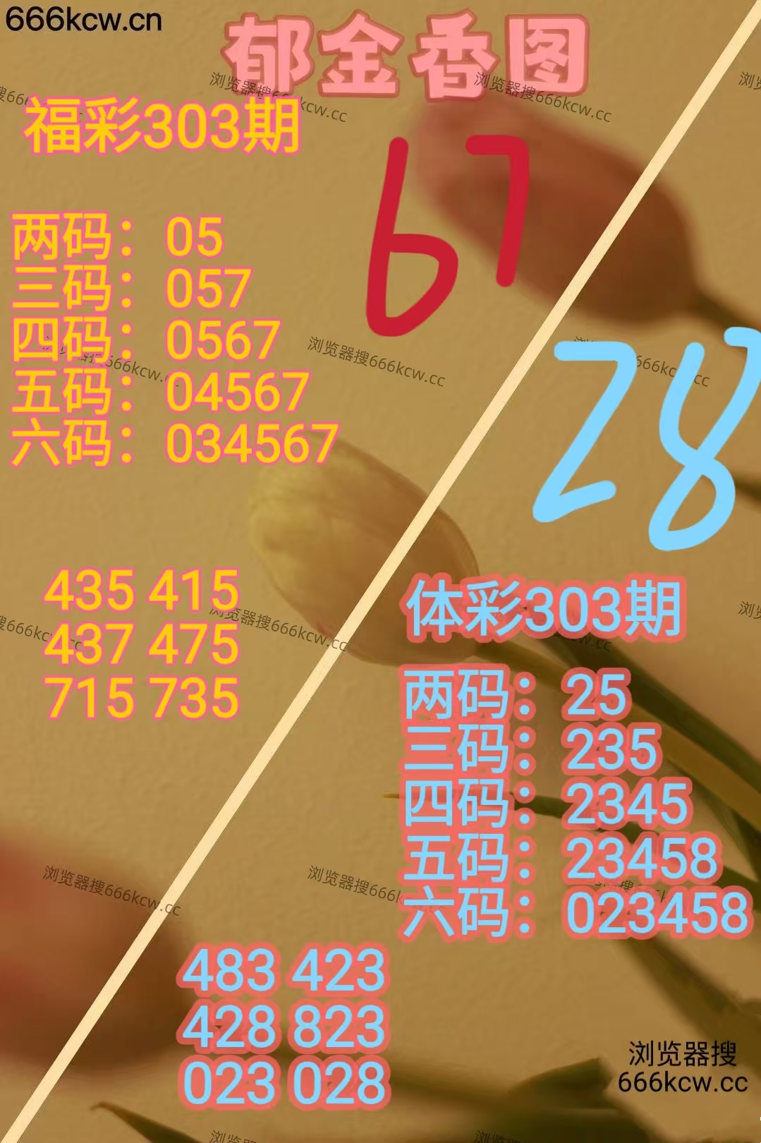 20251113 (30)