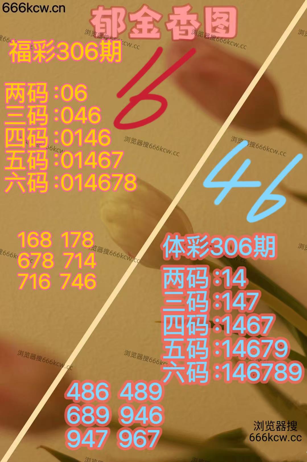 20251116 (23)