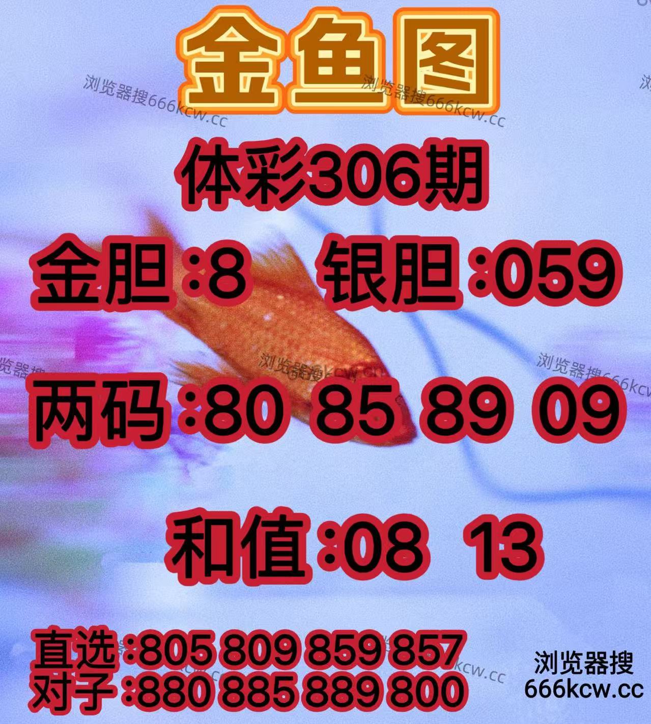 20251116 (18)