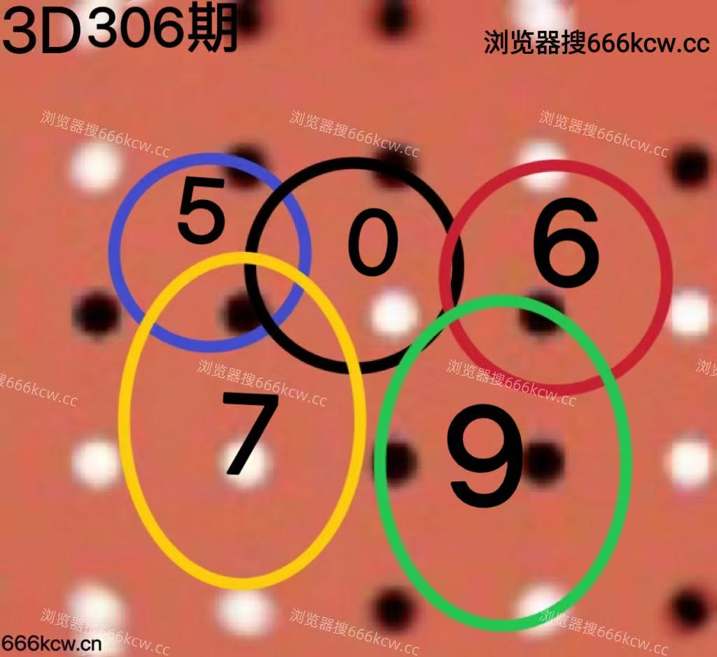 20251116 (5)