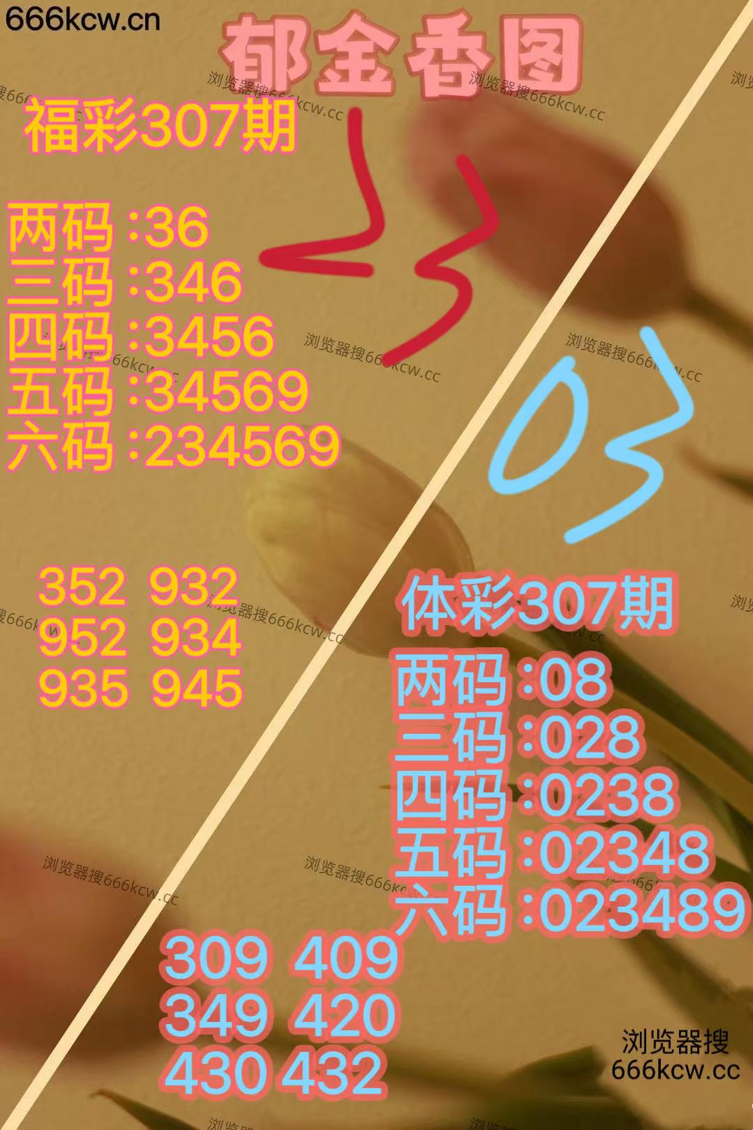 微信图片_20251117043152_3745_2