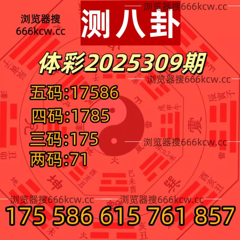 20251119 (33)
