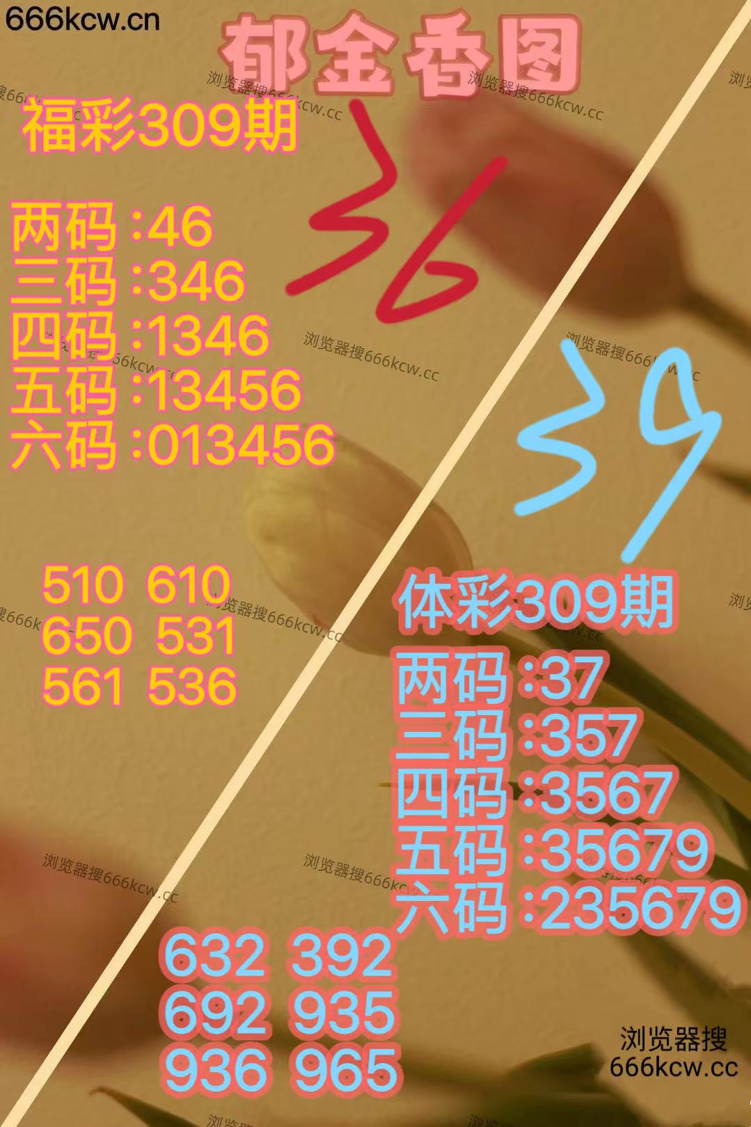 20251119 (23)