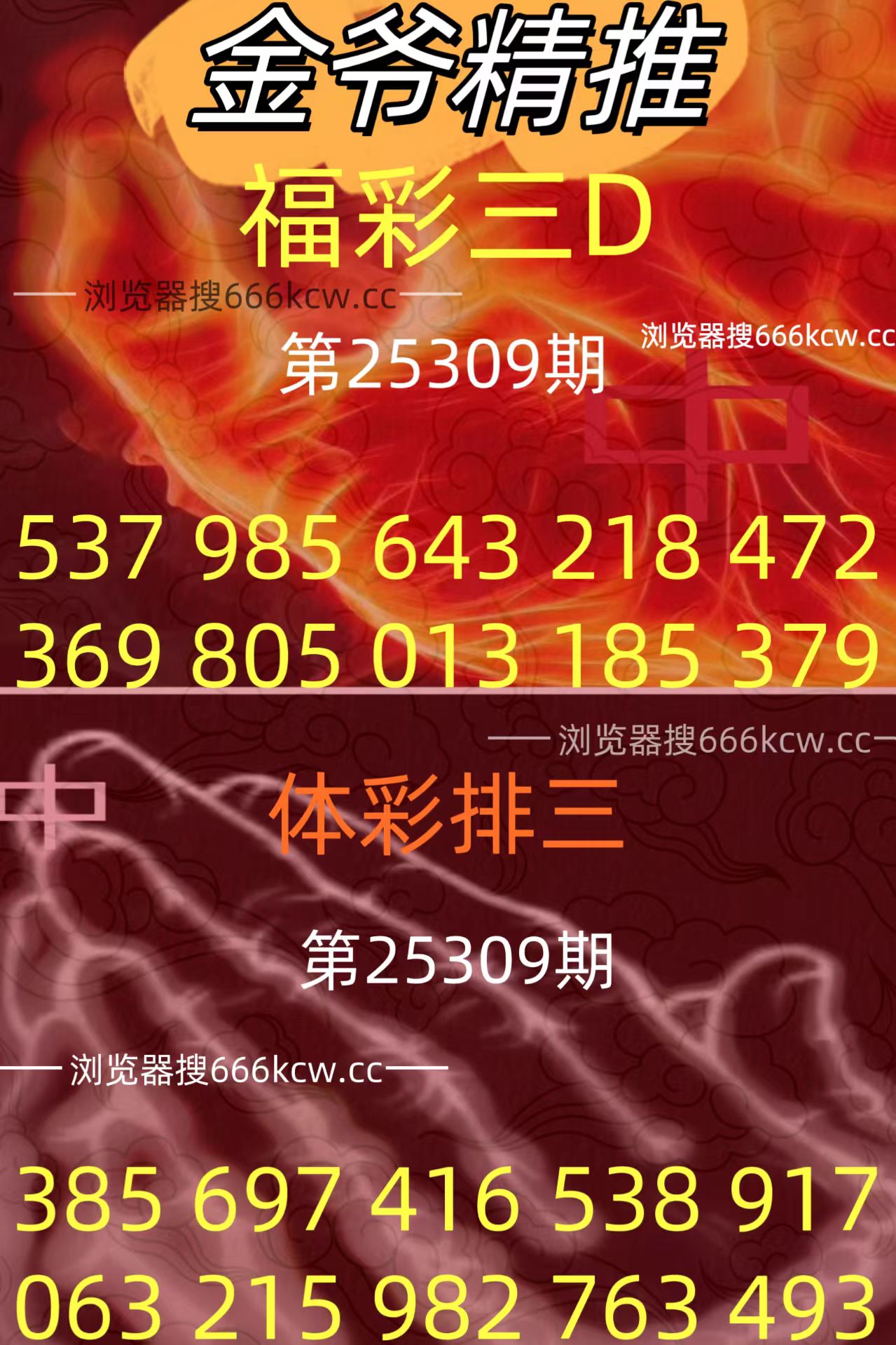 20251119 (36)