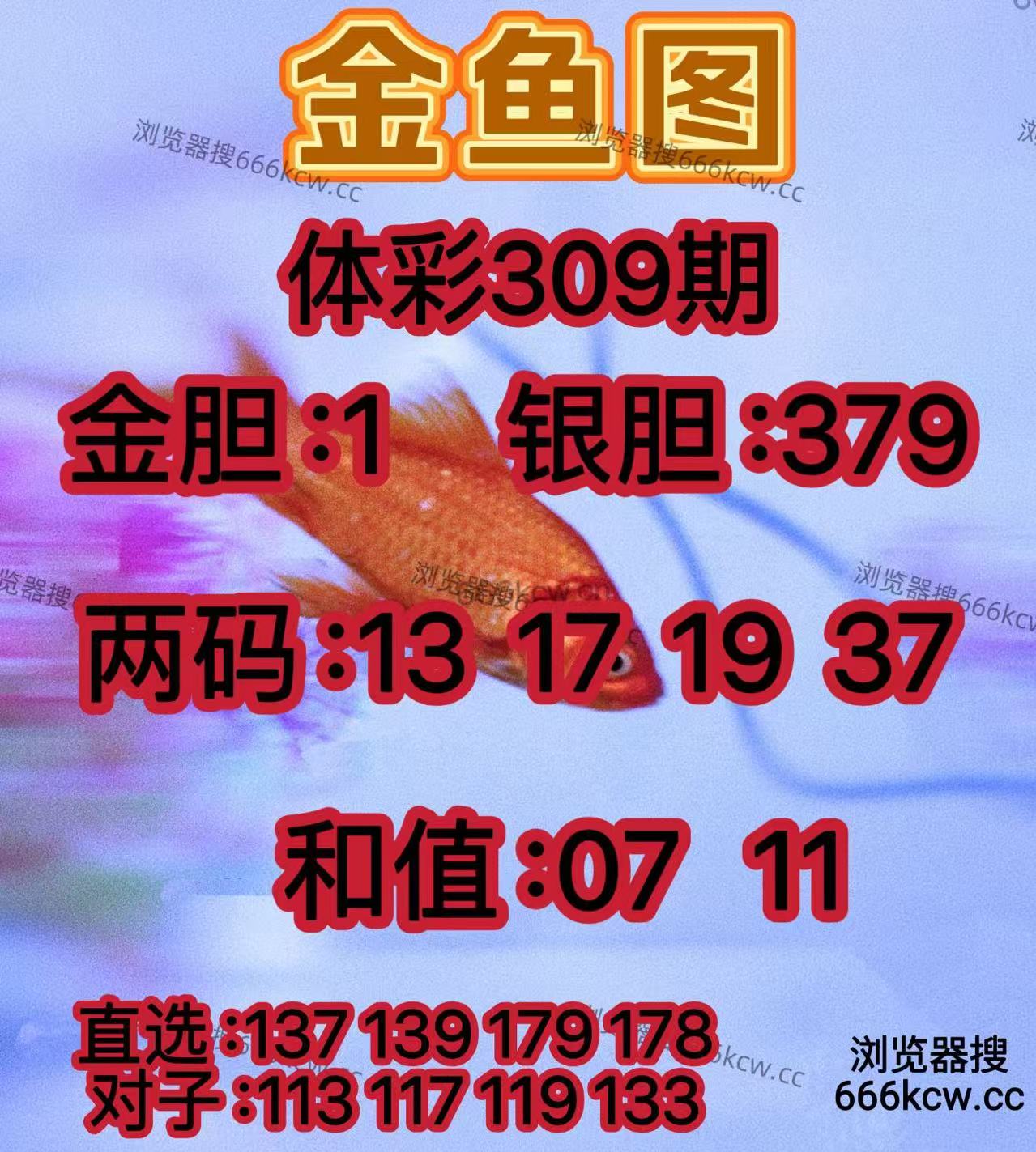 20251119 (18)