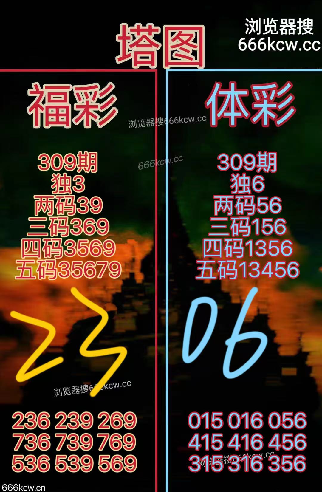 20251119 (24)