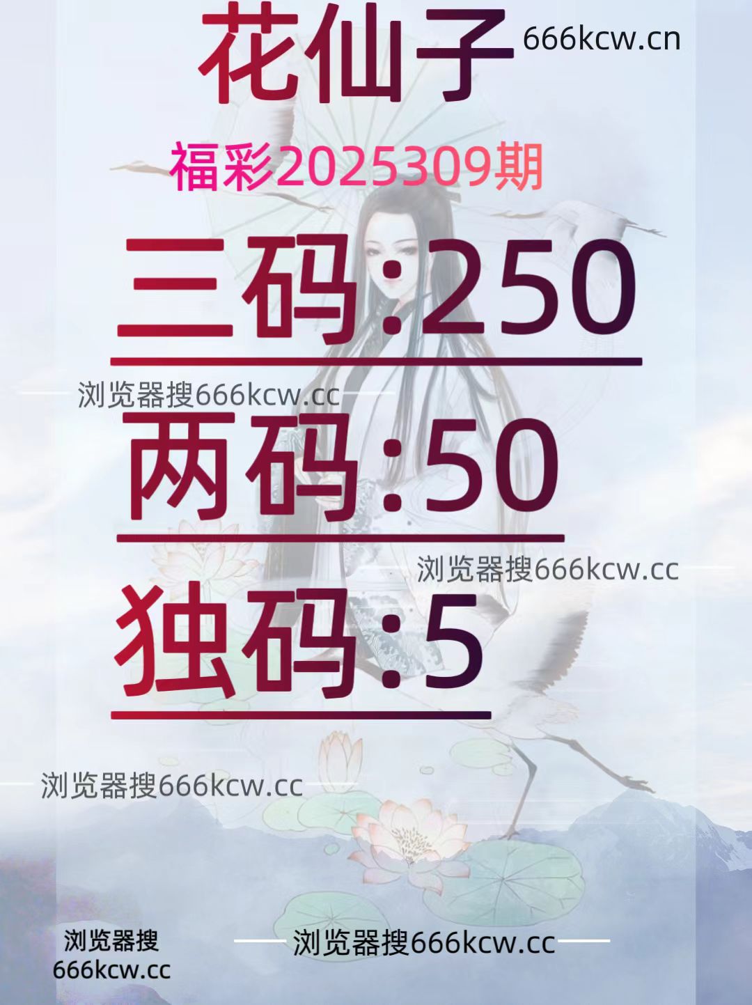 20251119 (35)