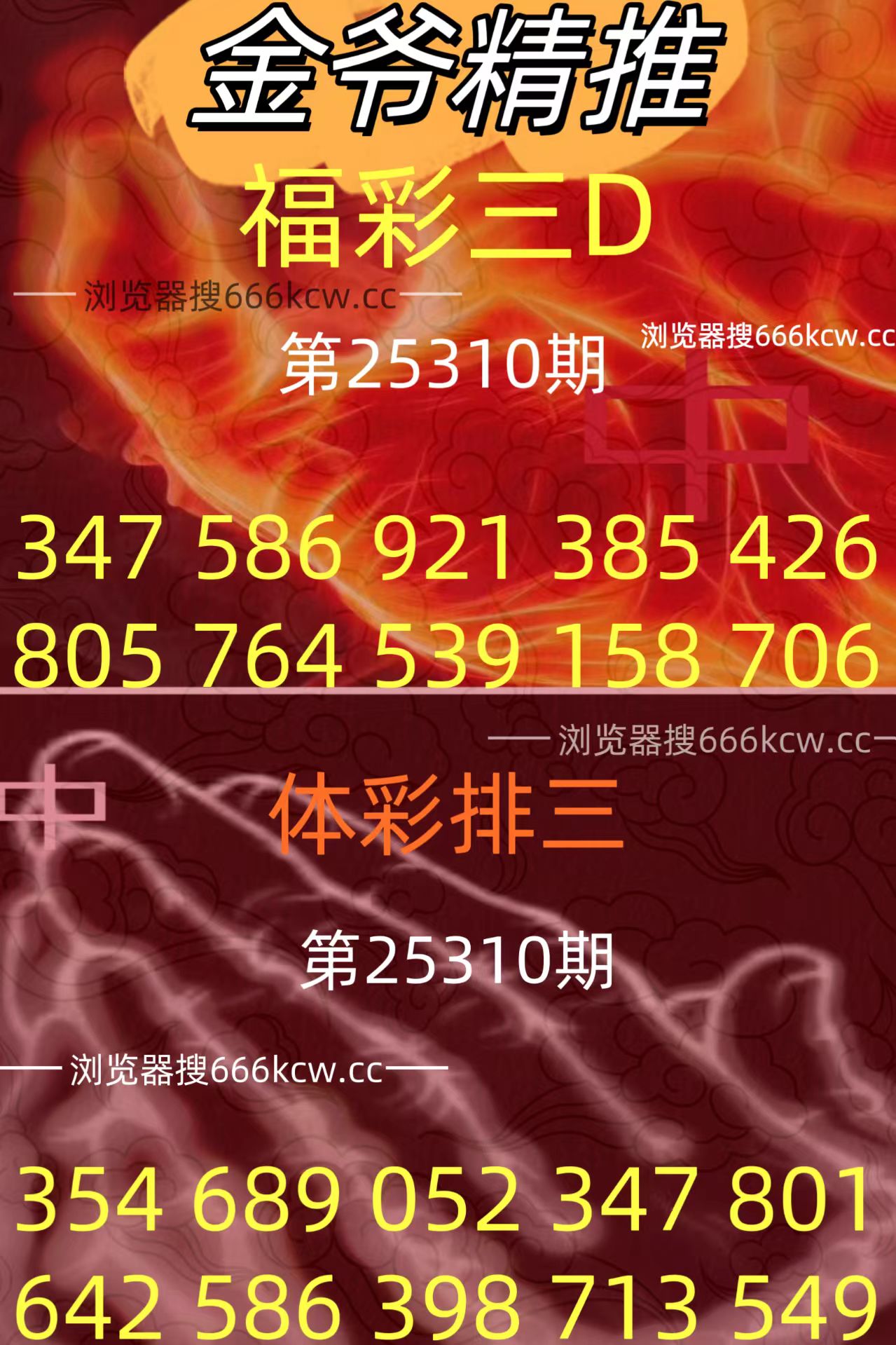 20251120 (27)