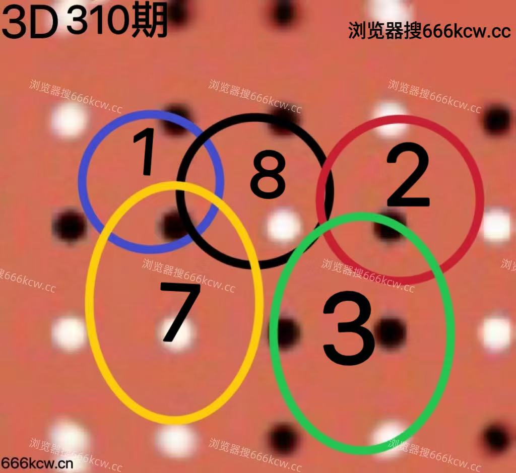 20251120 (5)