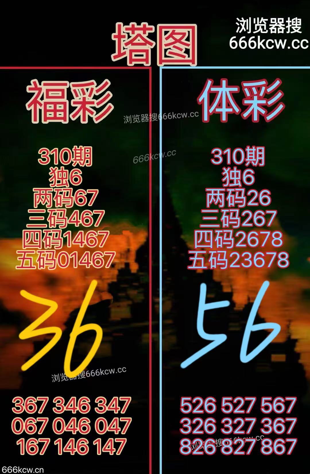 20251120 (24)