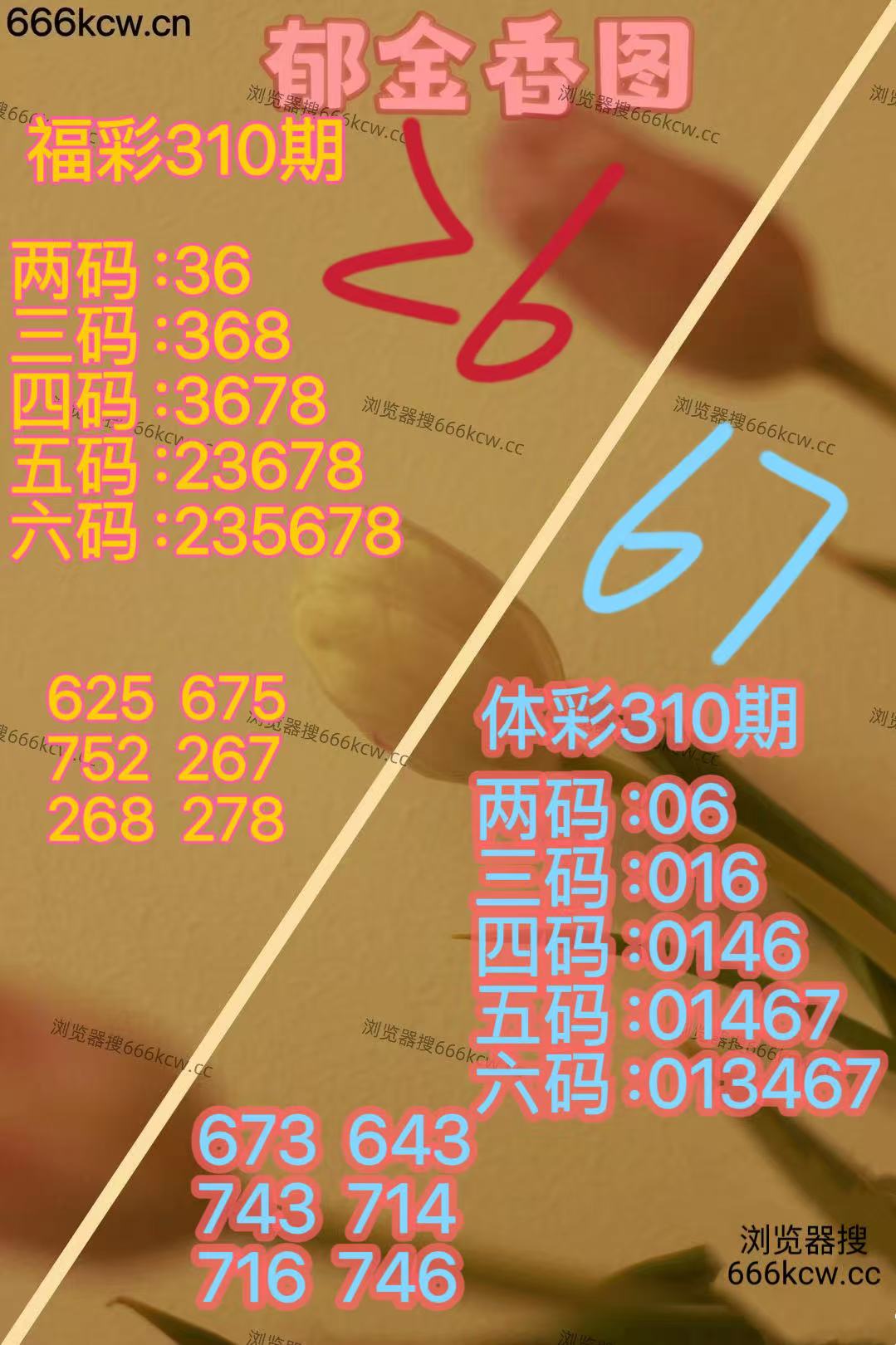 20251120 (23)